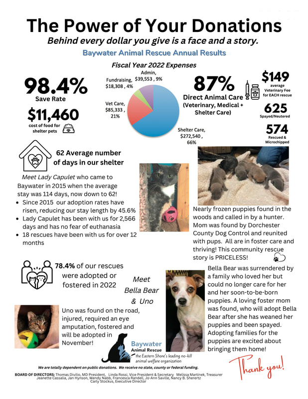 Animal Statistics - Baywater Animal Rescue